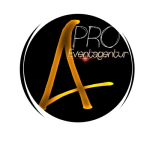 Artists Production logo